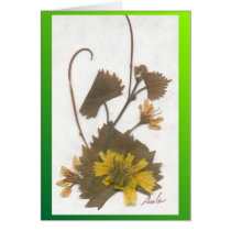 Summer Garden Greeting Cards