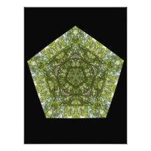Summer Geometry Photo Art