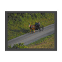 ~ Summer in Lancaster County ~ 3 Postcards