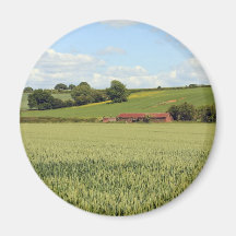 summer landscape magnets