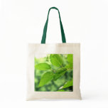 'Summer Leaves with Raindrops' Budget Canvas Tote Canvas Bag