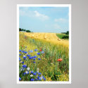 summer meadow poster FROM 8.99 posters