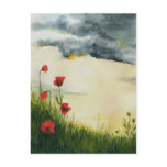 summer meadows
