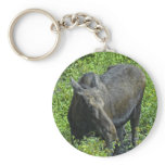 summer moose keychains