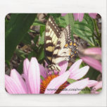 Summer Nectar mousepads