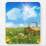 Summer Picnic Mouse Pads