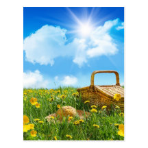 Summer Picnic Post Card