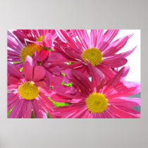 Summer Pink Flower Posters