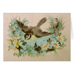 Summer Pond - Customize Greeting Cards