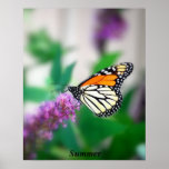Summer posters
