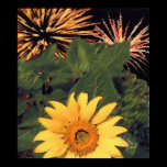 'Summer' posters
