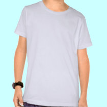 Summer Prom Fairy t-shirts