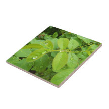 Summer Rain on Plants Ceramic Tile
