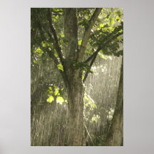 Summer Rain Print