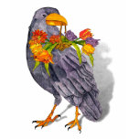 Summer Raven t-shirts
