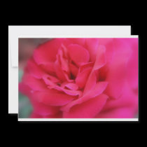 Summer Rose invitations
