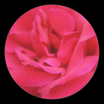Summer Rose stickers