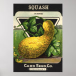 Summer Squash Seed Packet posters