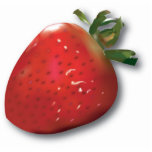 Summer Strawberry Magnet Photo Cut Out