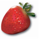 Summer Strawberry Magnet photo sculptures