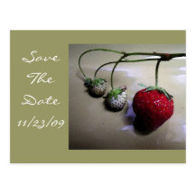 Summer Strawberry Wedding Save The Date Post Card