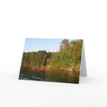 Summer Sun cards