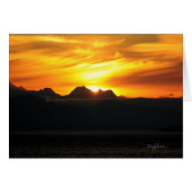 Summer Sun on Glacier Bay Cards