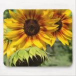 Summer Sunflowers Reflection Mousepad