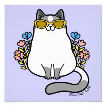 Summer Sunglasses Kitty Cat - Gray and White Photo Art