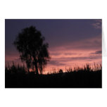 Summer Sunset Greeting Cards