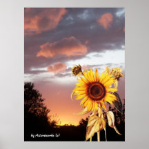 SUMMER SUNSET POSTER