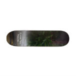 Summer Time Pasos Inc. skateboards