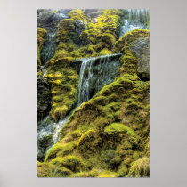 Summer - Winchester, VA - By a small waterfall Print