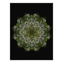 Summer Wood Star Photo Art