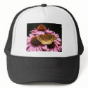 Summerdaze Flutterby hats