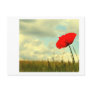 Summerdream Post Cards