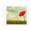 Summerdream postcards