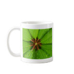 SummerFlowers045 mugs