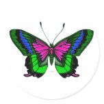 Summers Bright Colors 5 Round Stickers