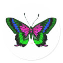 Summers Bright Colours 5 stickers