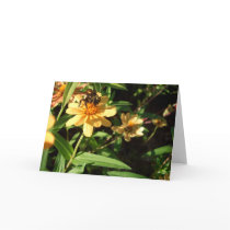 "Summer's Day"  CricketDiane Art & Photography Greeting Card