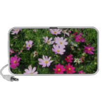 Summer's Garden speakers