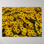 Summers Hues posters
