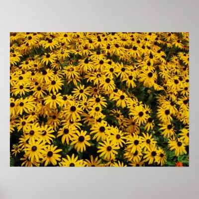 Summers Hues Print by coaster_cog