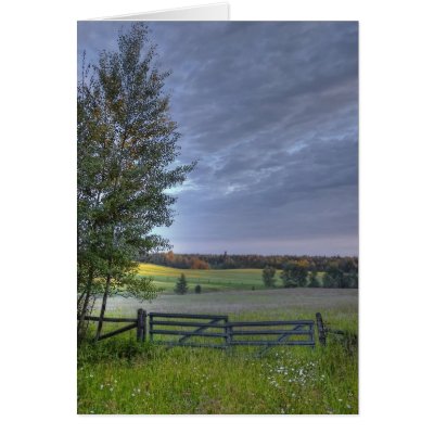 summers pasture card by Digitalwonder