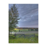 summers pasture postcards