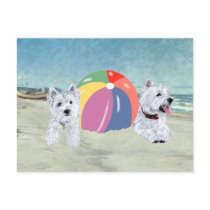 Summertime Westies Blue Water Postcards