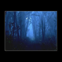 Summerwood Postcard