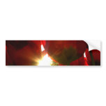 Sun and Red Petals Bumper Stickers