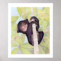 Sun Bear Cub Poster